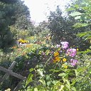 ���� ���������, �������� - ��������� 22 ������� 2025 � ������ �����