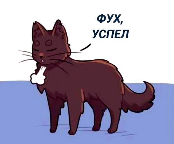 Ни что так не бодрит с утра, как звук блюющего кота - 5