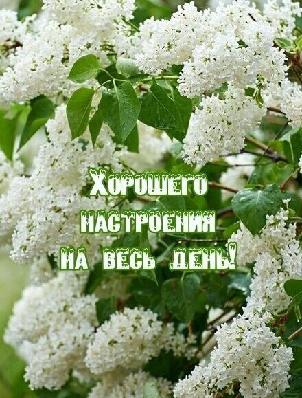   - 25  2025  14:42