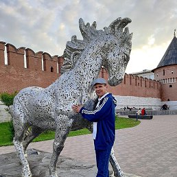 �����, �������, 55 ���