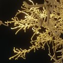 ���� ������, ���������� - ��������� 3 ������ 2024 � ������ ������ ��������