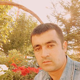 , 33, 