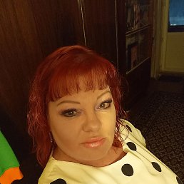 ���� ��������, �������, 49 ��� - ��������� 14 ����� 2024