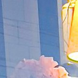 ������, �����-���������, 48 ���