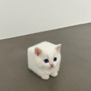 , 23 , 