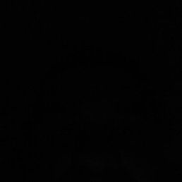 �����, ������, 40 ���