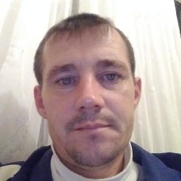 �������, ����, 46 ���