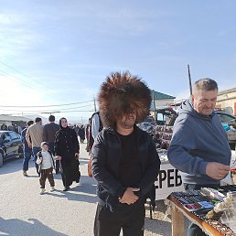 �����, ������, 37 ���