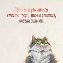 ���� Shadow, ���� - ��������� 31 ������ 2025 � ������ ������ ��������