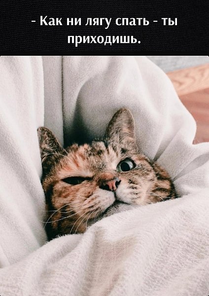       - 4  2023  12:42 - 3