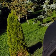 ������, 38 ���, �������