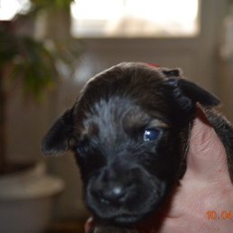 ���� ������, ��������, 56 ��� - ��������� 29 ������ 2025