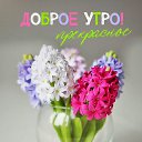 ���� ����, �����������, 64 ���� - ��������� 27 ������� 2024