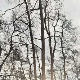 ������, 47 ���, ����