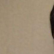 , 38 , 