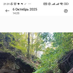 ���� ������, ������, 19 ��� - ��������� 8 ������� 2026