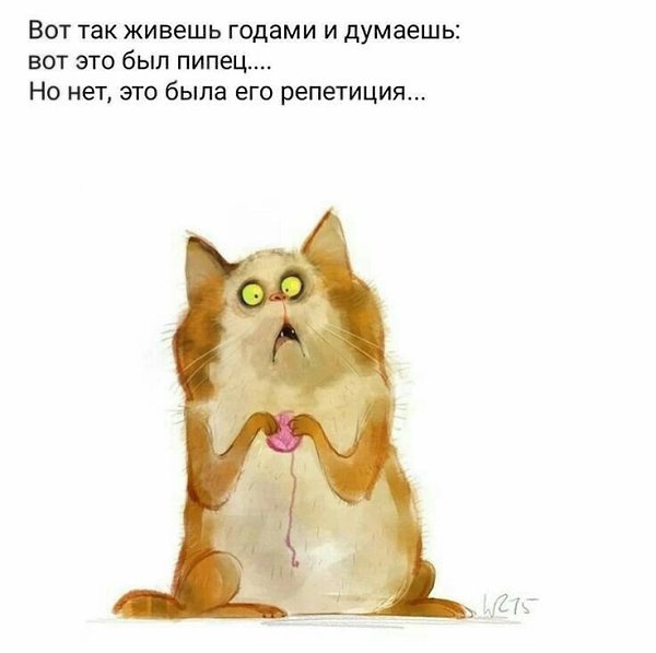  - 7  2025  05:47