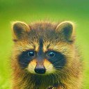 ���� ����, ���������, 26 ��� - ��������� 22 ������� 2024 � ������ ���� ����������