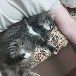 ���� ����, ������, 38 ��� - ��������� 1 ������ 2024