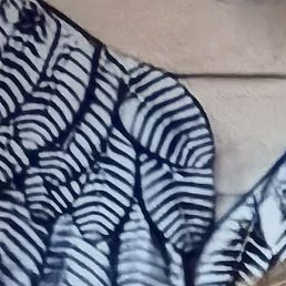 ��������, ������, 53 ����