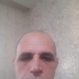 , 53, 