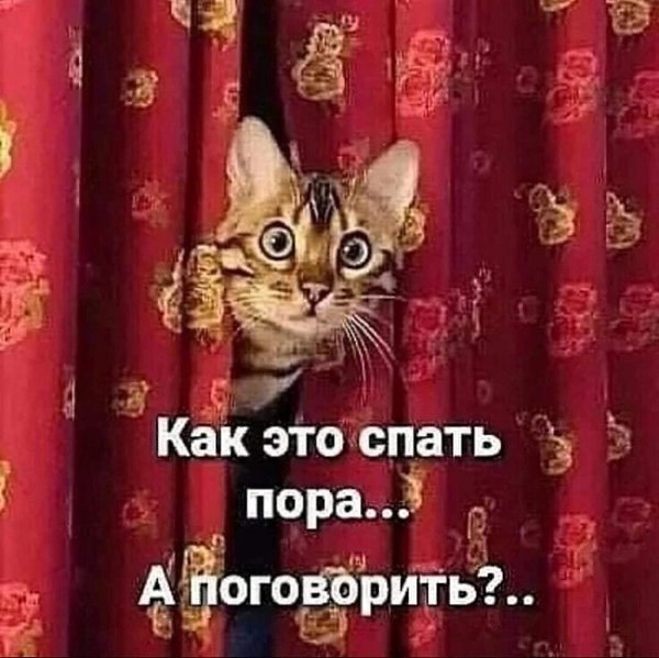  - 7  2025  21:10