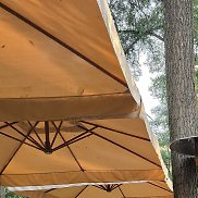 ���������, 58 ���, �������