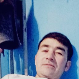 , 29, 