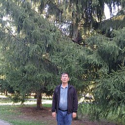 , 42, 