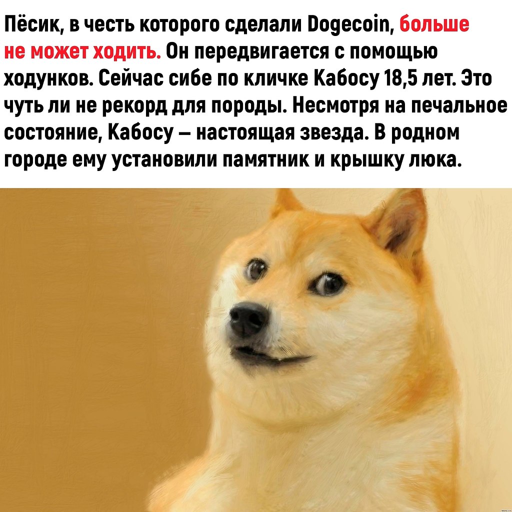 ��� ��������