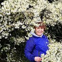 ���� ������, ��������, 65 ��� - ��������� 4 ������ 2025 � ������ ���� ����������