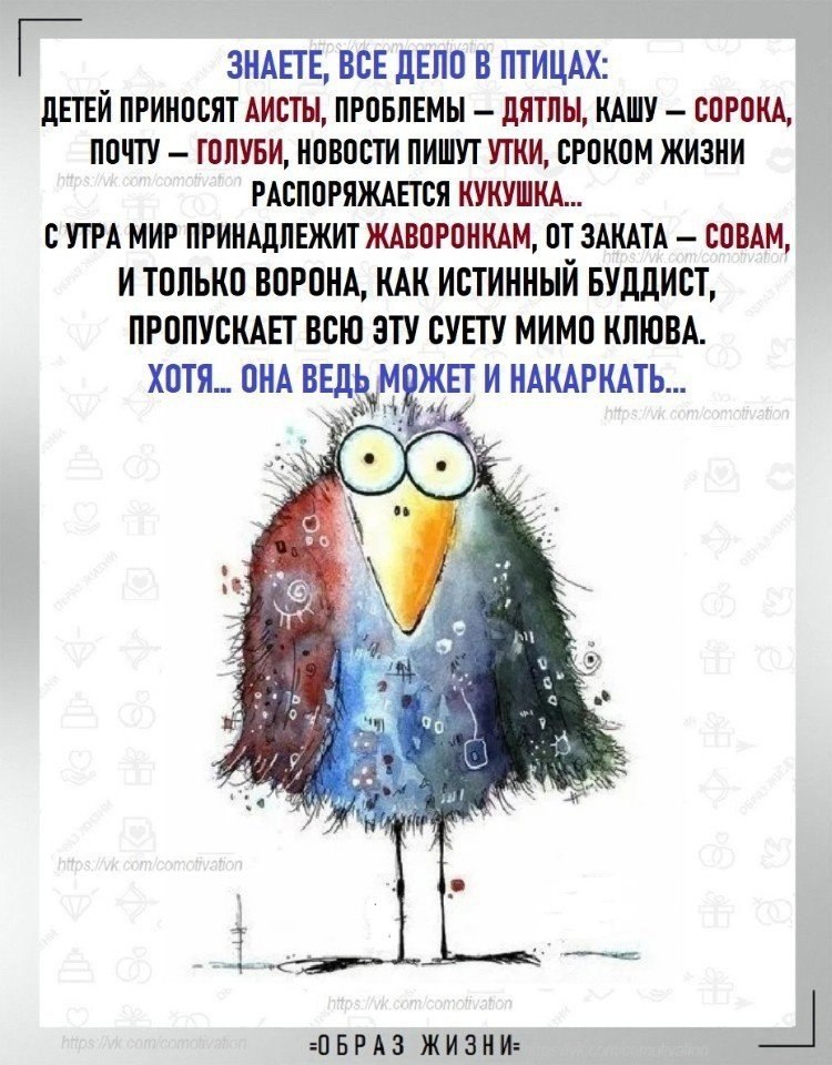 Co-Motivation.... . - 5  2025  21:21
