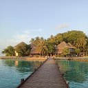 ���� �����, ������, 65 ��� - ��������� 15 ����� 2026 � ������ ������ ��������