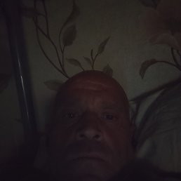 , 41, 