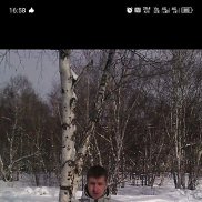 �����, 40 ���, ������