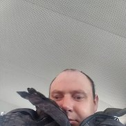 , 33 , 