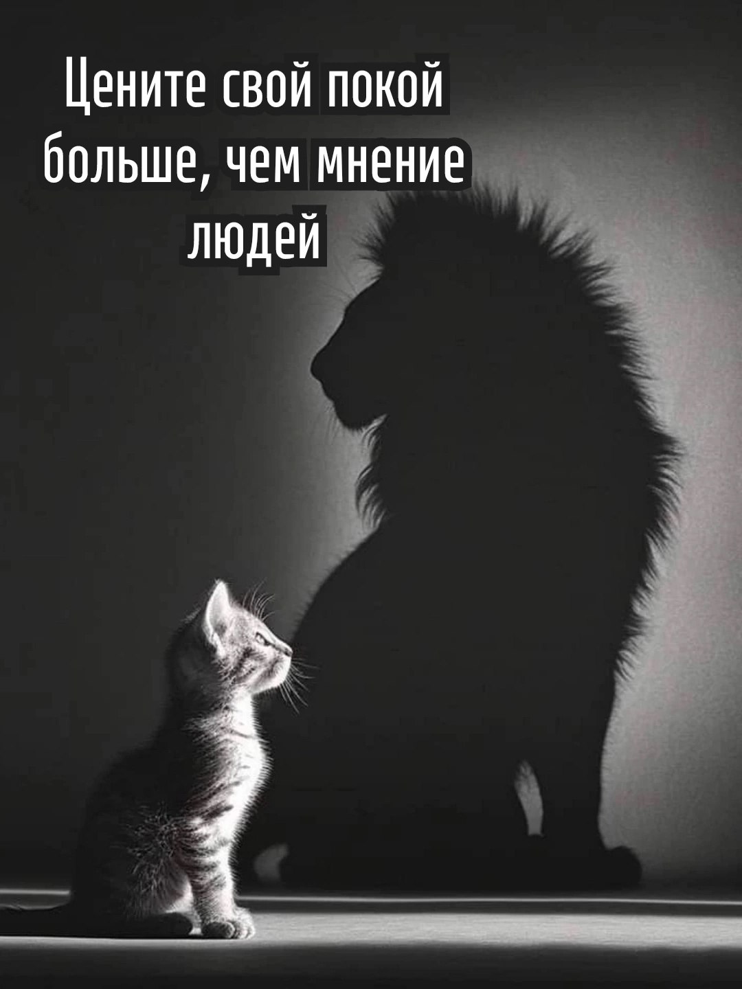 Геннадий - 20 октября 2025 в 18:52