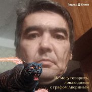 ���������, 48 ���, �������