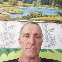 , 58 , 