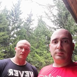 , 42, 