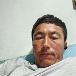 , 34, 