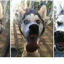 ���� ���������, ������, 41 ��� - ��������� 22 ������ 2026