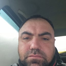 , 34, 