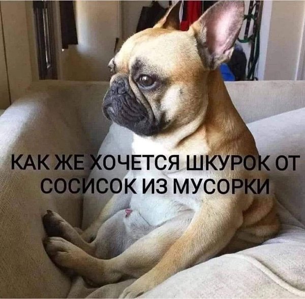 ***Victoria Viktorovna*** - 16  2025  02:45