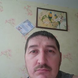 , 48 , 