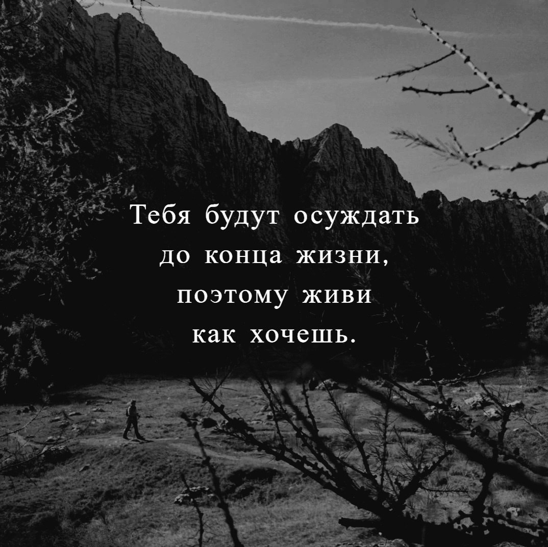  - 15  2025  08:23