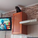 ���� ����, ��������� - ��������� 23 ���� 2026 � ������ ������ ��������