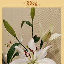 ���� ���, ���� - ��������� 15 ������ 2026