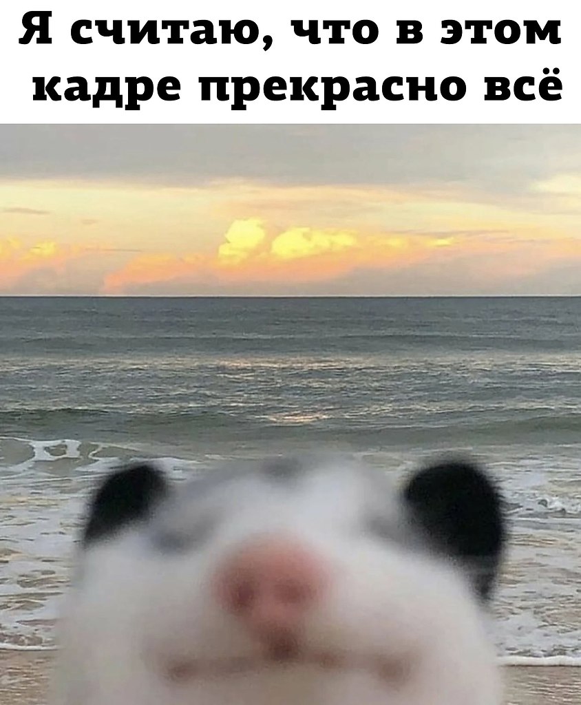  - 25  2024  09:22