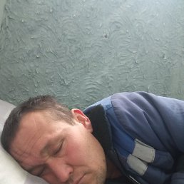 �����, �����, 46 ���